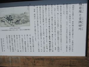 29(8)IMG_2383 梅若塚と古隅田川看板